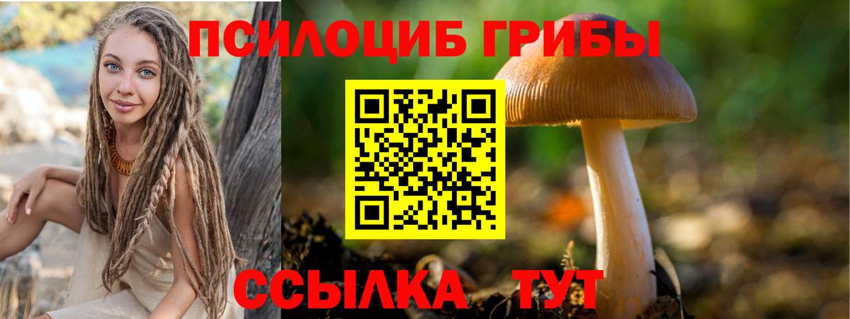 Галлюциногенные грибы ЛСД Черняховск